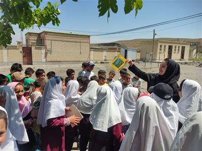 جشنواره بیلیک اوبالاری